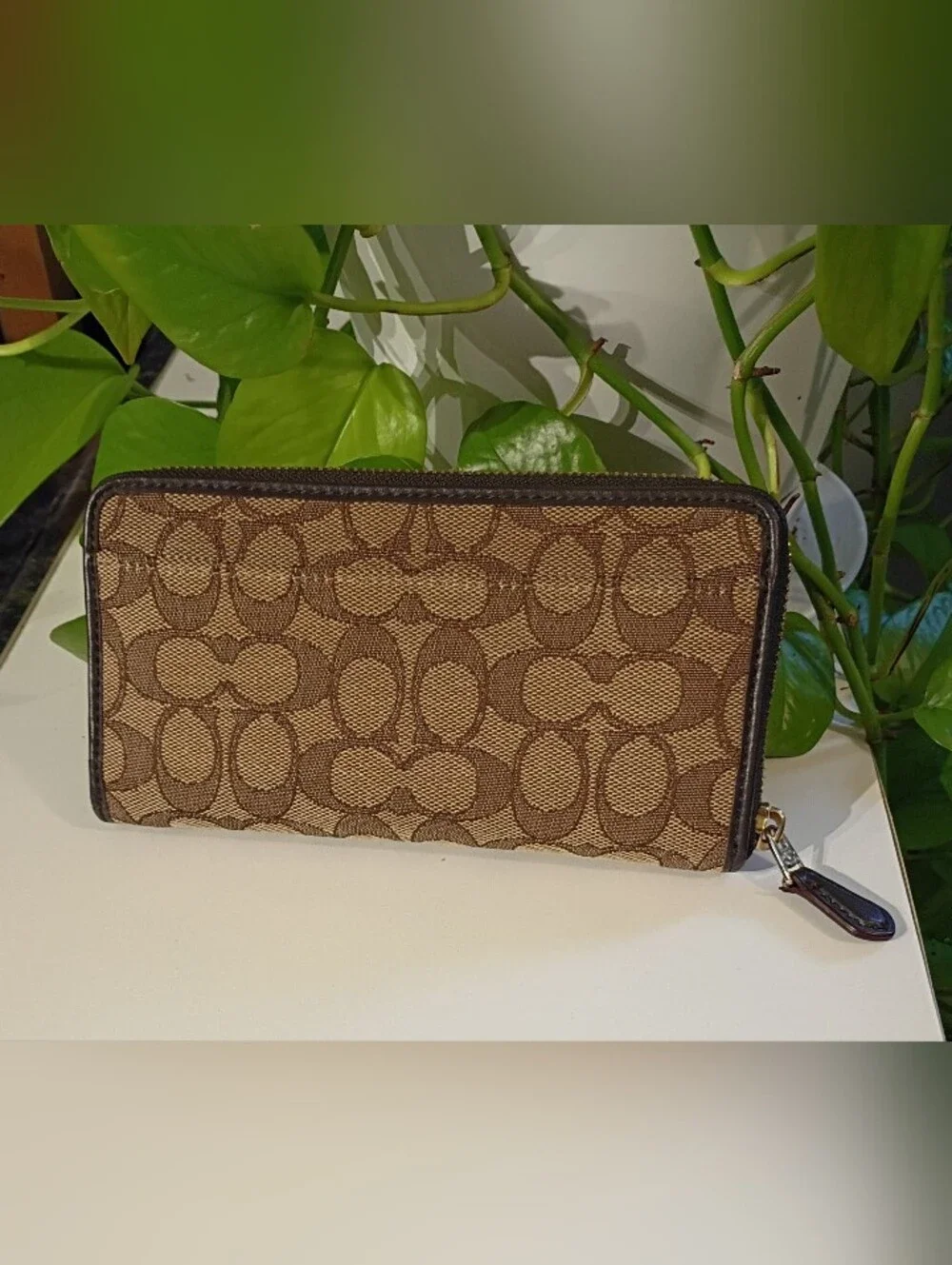 Coach Tan and Brown Signature Zip Wallet